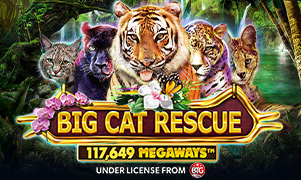 agent bong88 Big Cat Rescue Megaways